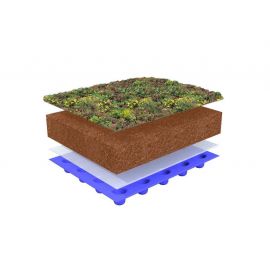 Sempergreen sedummatten compleet pakket per m²